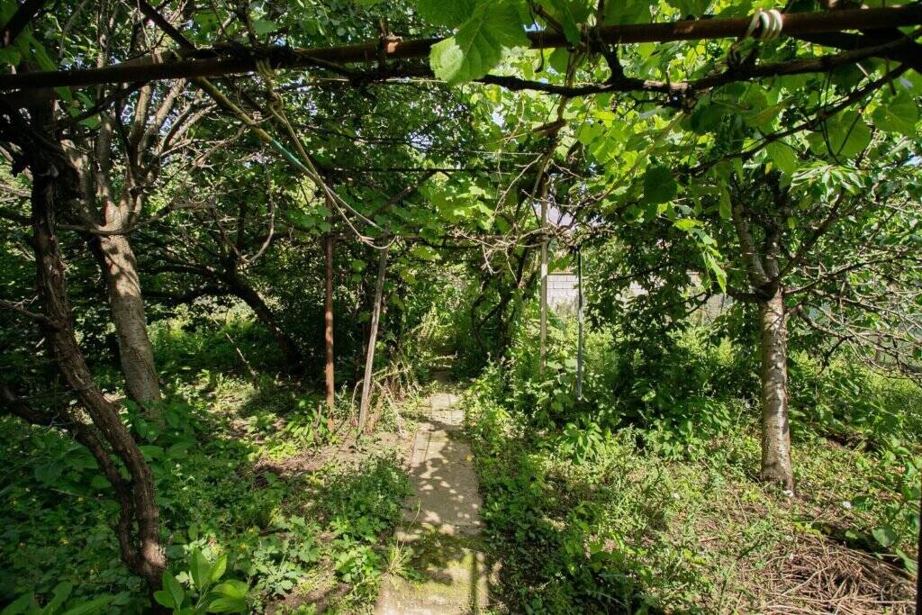 Casă cu potențial de renovat situată la doar 20 de minute de Arad De vânzare Casă cu potențial de renovat situată la doar 20 de minute de Arad în zona Arad 3 camere 2 dormitoare Arad 2