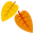 🍂