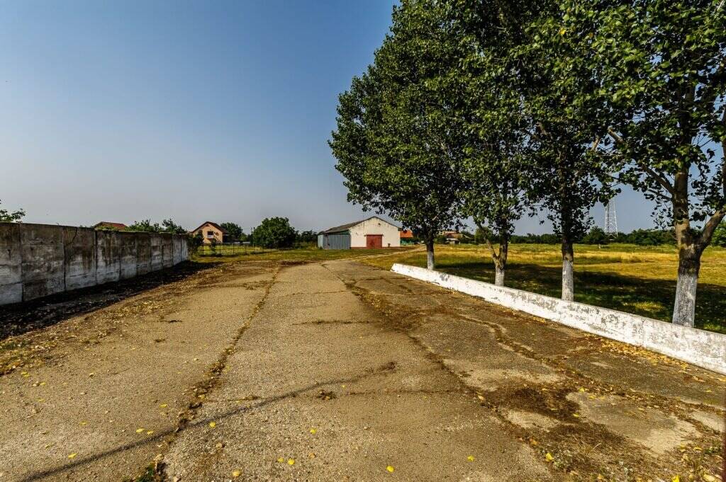 Fermă Mândruloc 25.000 mp De vânzare Fermă Mândruloc 25.000 mp în zona Arad 6 camere Arad 10