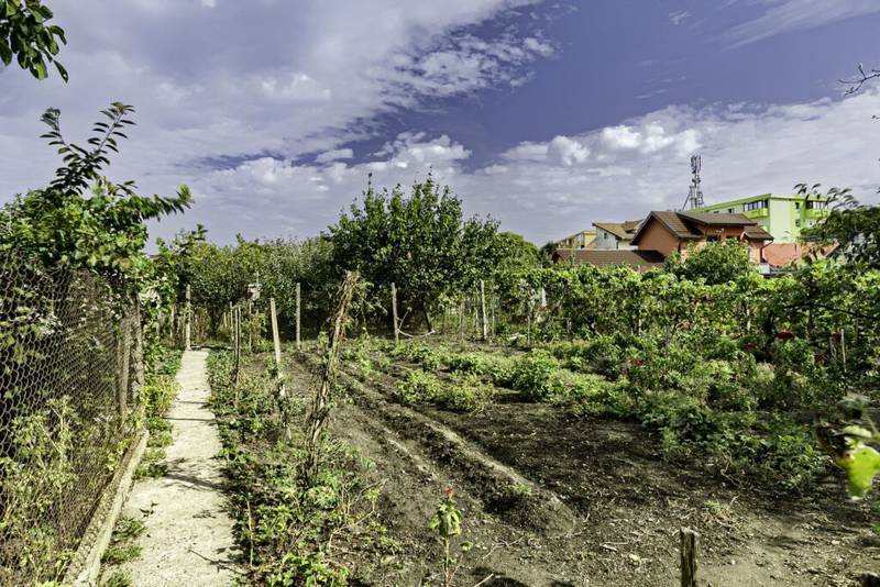 Casa din caramida 7 camere – Aradul Nou – COMISION 0% De vânzare Casa din caramida 7 camere – Aradul Nou – COMISION 0% în zona Aradul Nou 7 camere 5 dormitoare Arad 11