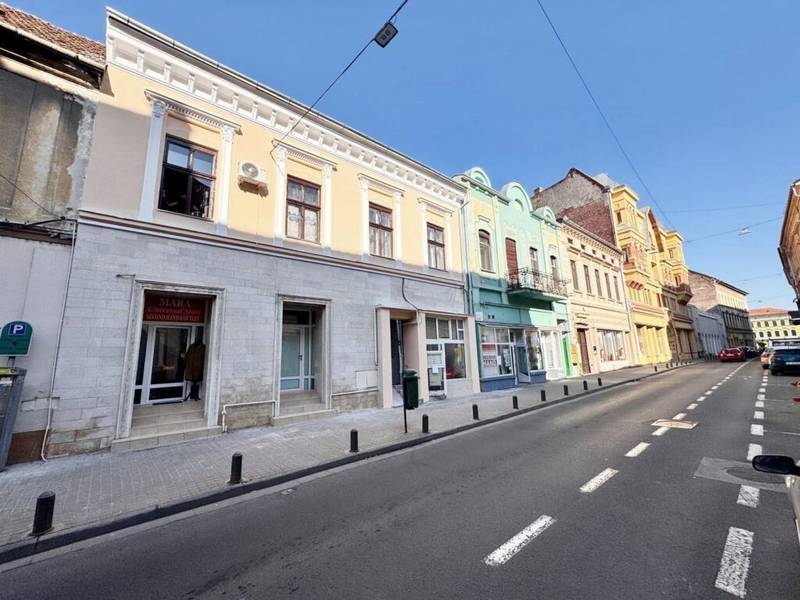 Apartament la parter, liniște și confort în centrul Aradului. De vânzare Apartament la parter, liniște și confort în centrul Aradului. în zona Ultracentral 1 camera 1 dormitor Arad 3