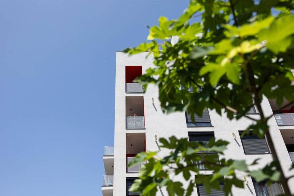 APARTAMENT CU 2 DORMITOARE DIN BLOCUL R37 | ARED AFI De vânzare APARTAMENT CU 2 DORMITOARE DIN BLOCUL R37 | ARED AFI în zona UTA 3 camere 2 dormitoare Arad 1