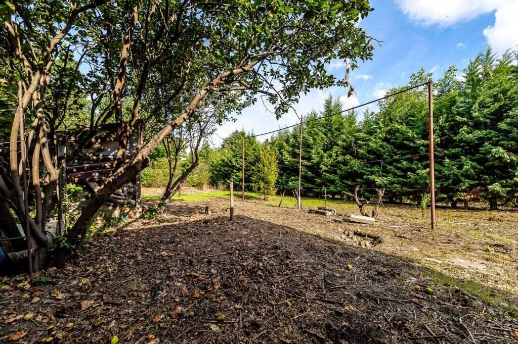Proprietate REZERVATĂ! Casă din centru în Arad. De vânzare Proprietate REZERVATĂ! Casă din centru în Arad. în zona Central 5 camere 3 dormitoare Arad 9