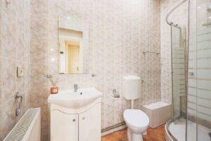 De închiriat apartament ultracentral – Str. Crișan – COMISION 0% De închiriat De închiriat apartament ultracentral – Str. Crișan – COMISION 0% în zona Ultracentral 1 camera Arad 5
