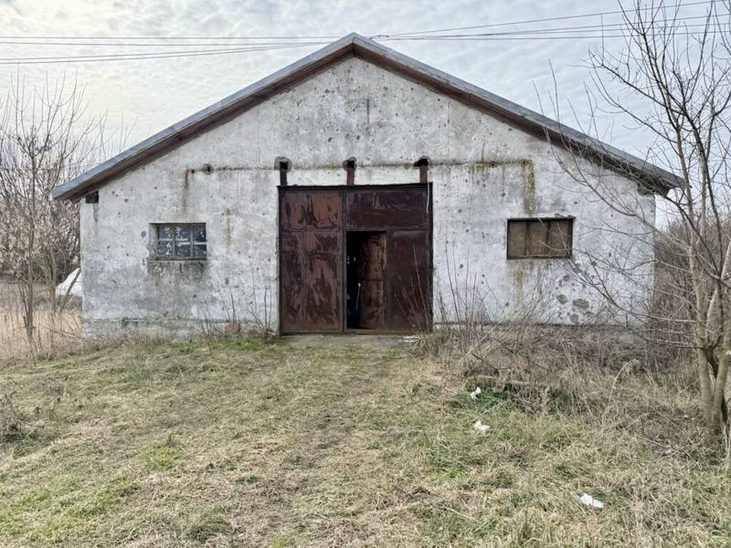 De vânzare Pret redus Teren generos cu grajd nou in Varsand în zona Arad Arad 5