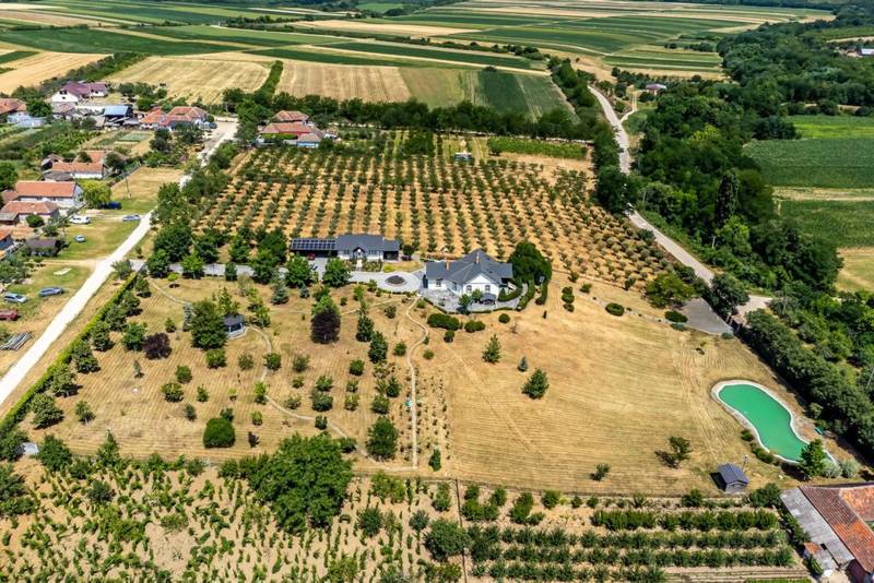 De vânzare REZERVAT Visezi la o proprietate unică, plină de istorie și farmec? în zona Arad 5 camere 2 dormitoare Arad 12
