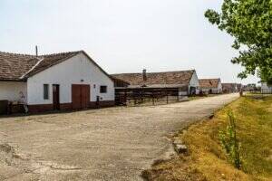 Fermă Mândruloc 2,5 ha De vânzare Fermă Mândruloc 2,5 ha în zona Arad 6 camere Arad 4