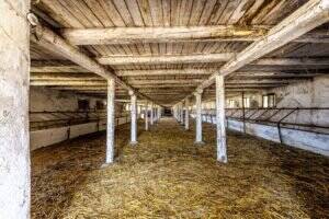 Fermă Mândruloc 2,5 ha De vânzare Fermă Mândruloc 2,5 ha în zona Arad 6 camere Arad 5