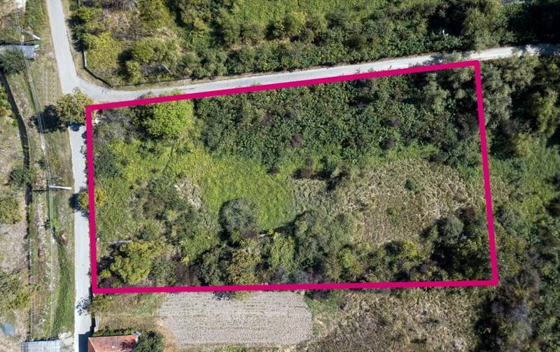 Teren pentru casa de vacanta 4320 mp De vânzare Teren pentru casa de vacanta 4320 mp în zona Arad Arad 3