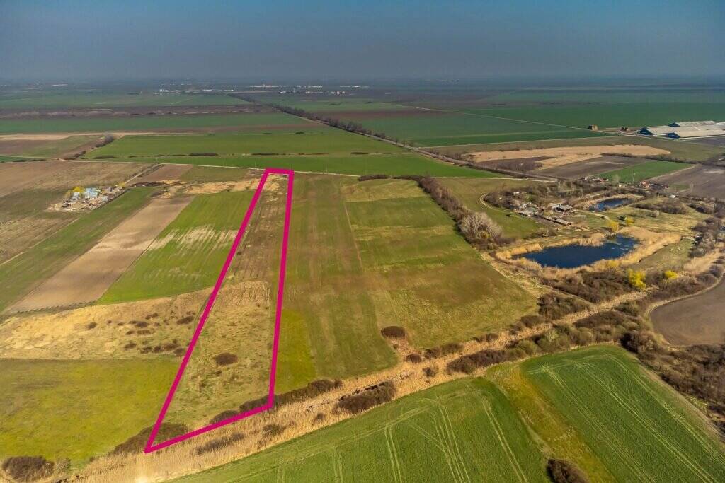 Teren Agricol Extravilan 14300 mp De vânzare Teren Agricol Extravilan 14300 mp în zona Exterior Nord Arad 4